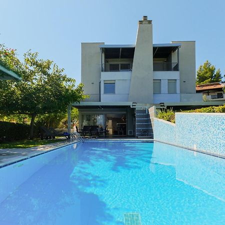 Deluxe Chrousso Pool Villa Palioúri Eksteriør bilde