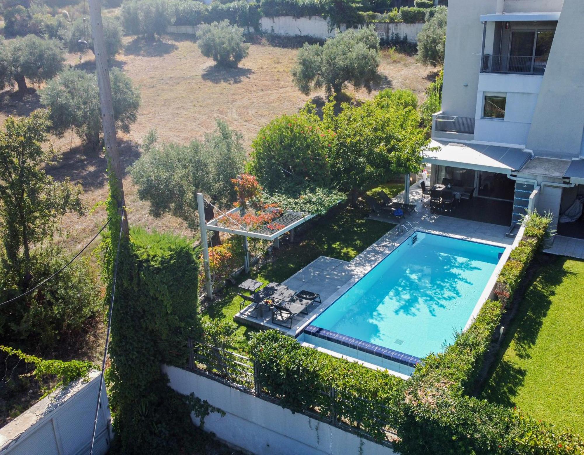 Deluxe Chrousso Pool Villa Palioúri Eksteriør bilde