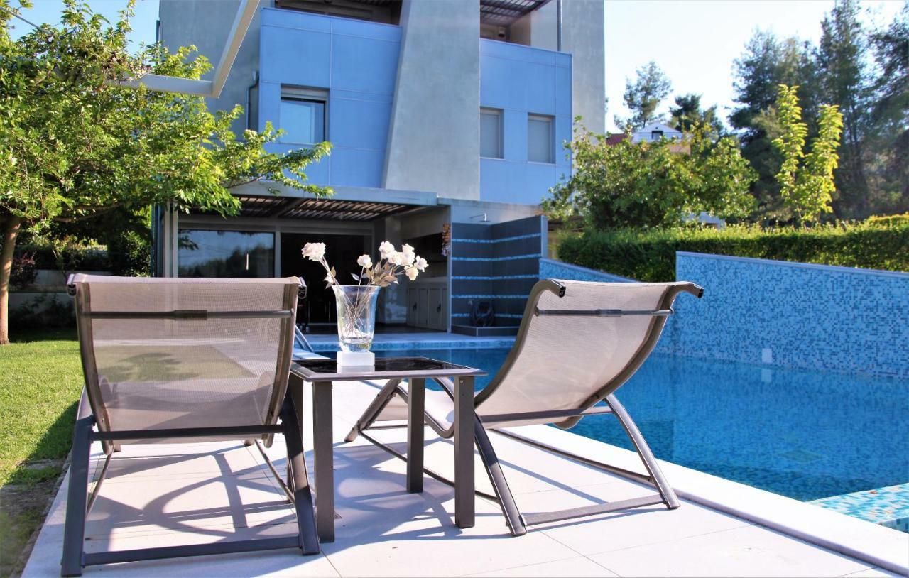 Deluxe Chrousso Pool Villa Palioúri Eksteriør bilde